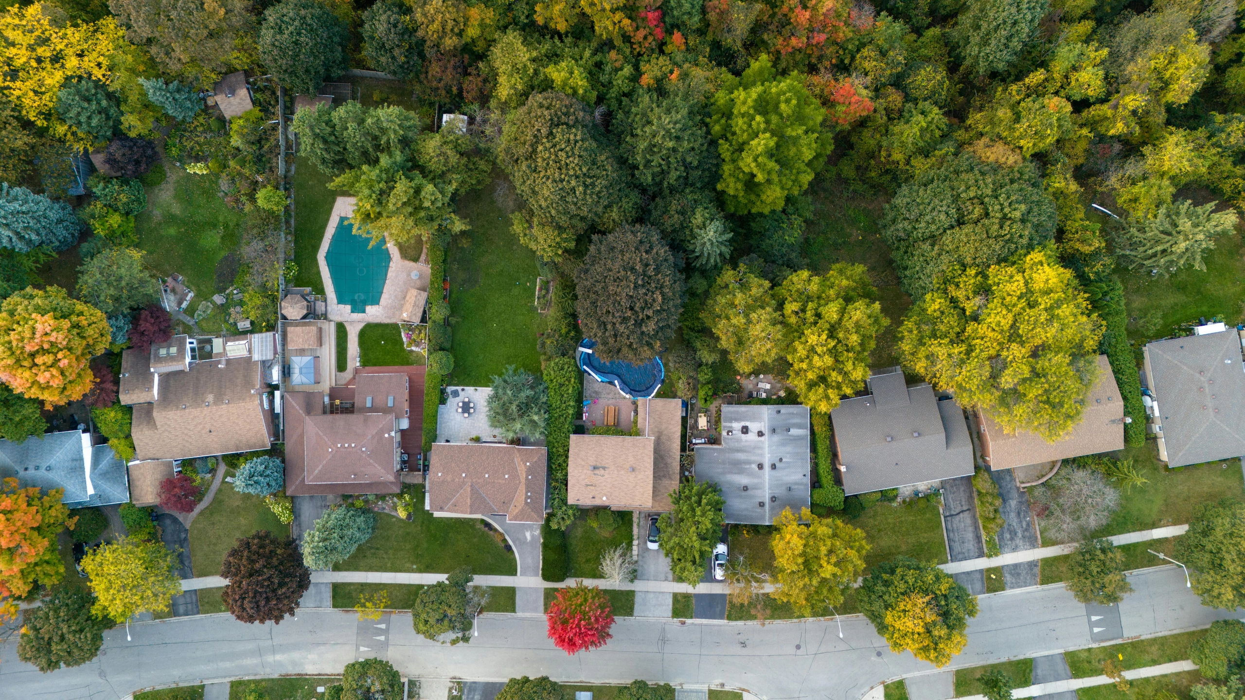 An overhead image of backyards and streets in Toronto.