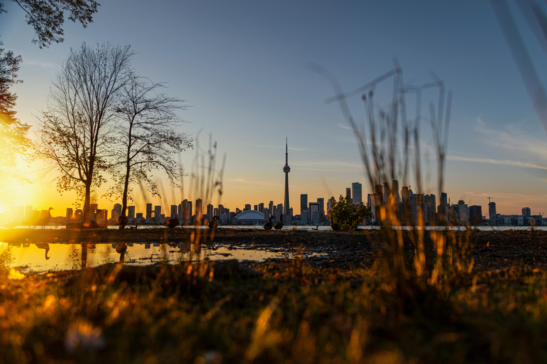 An image of the CN Tower as seen from the Toronto Island during sunset.